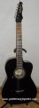 Guitarra Rockera modelo CGE 8